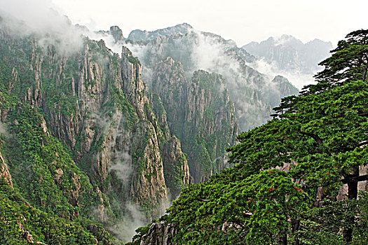 麦可奈因在淘宝上叫啥名C1B8D97C5-18975